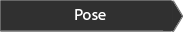 Pose